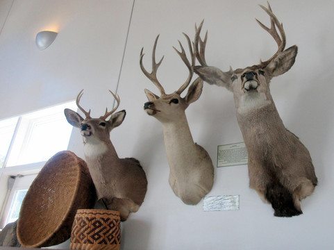 Chumash Indian Museum-千橡市必去景点