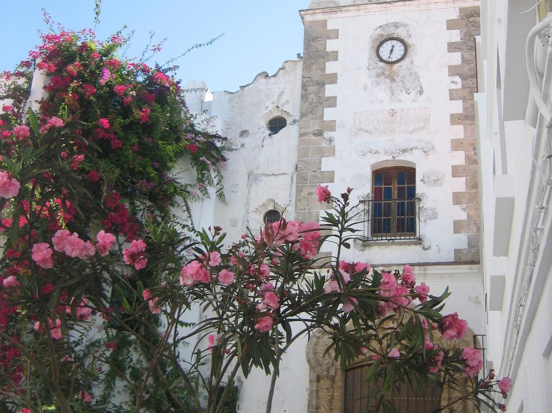 Iglesia de San Francisco de Asis-塔里法必去景点
