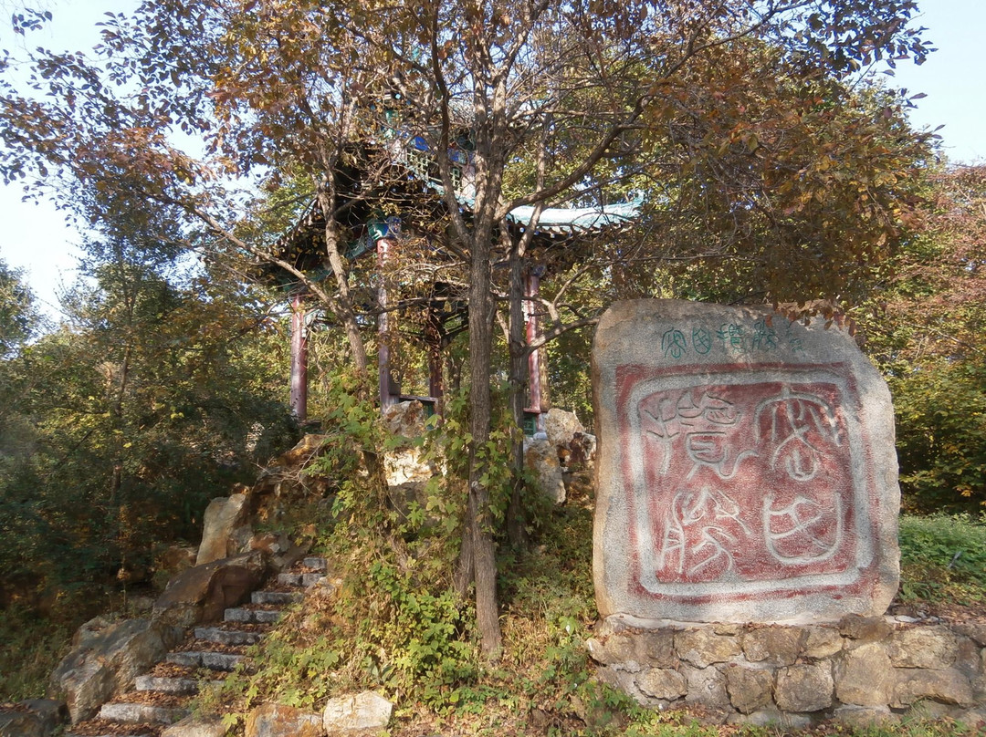 北大荒书法长廊-密山市必去景点