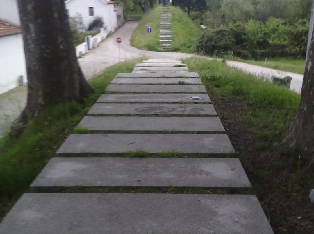 Cava de Viriato-维塞乌必去景点