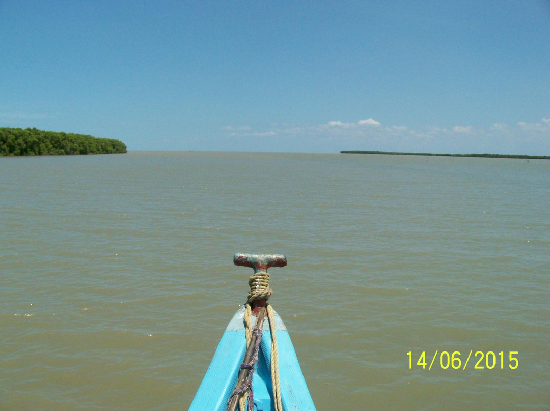 Muthupet Lagoon景点图片