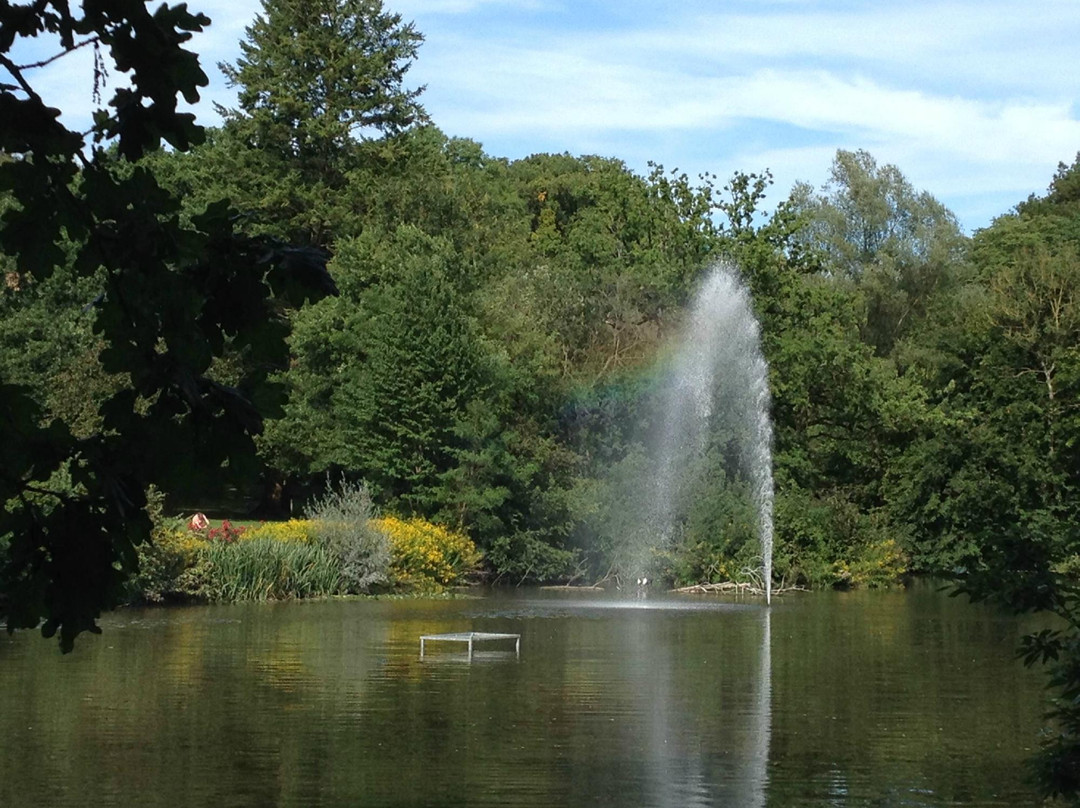 Kurpark Kaiserbrunnen景点图片