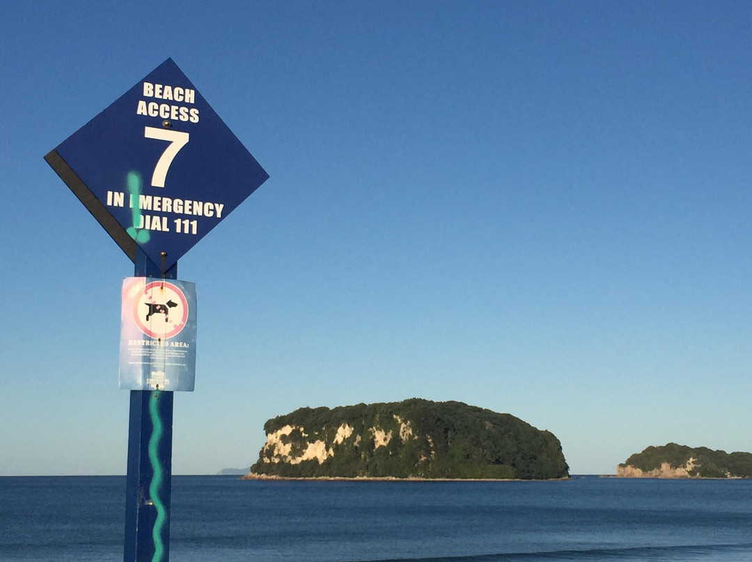 Whangamata Beach景点图片