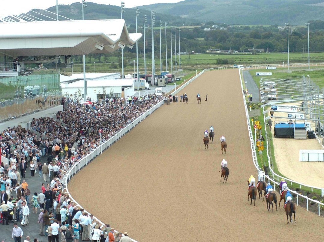 Dundalk Stadium景点图片