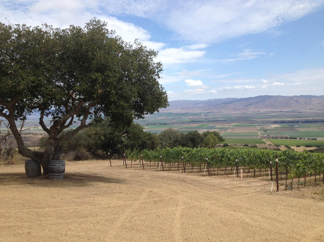 Smith & Hook Winery-Soledad必去景点