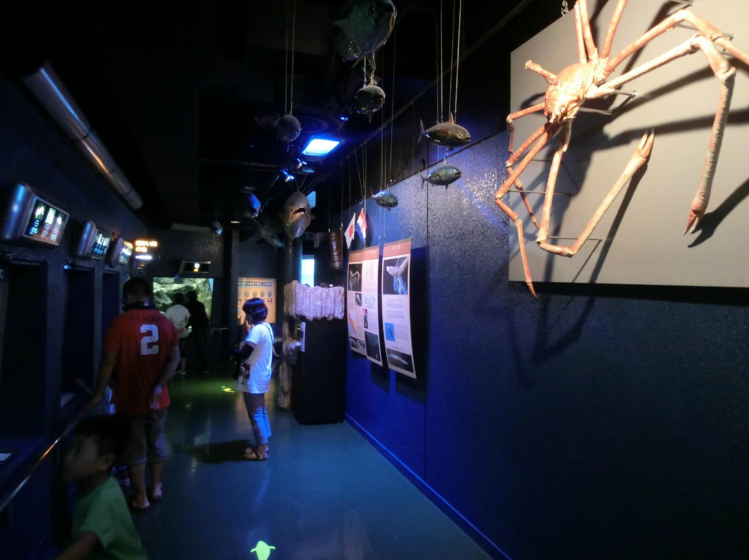 Hekinan Seaside Aquarium - Hekinan Youth Maritime Science Museum景点图片