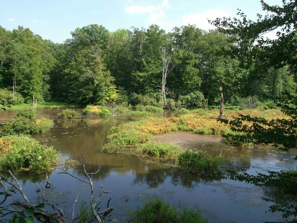 Jug Bay Wetlands Sanctuary景点图片