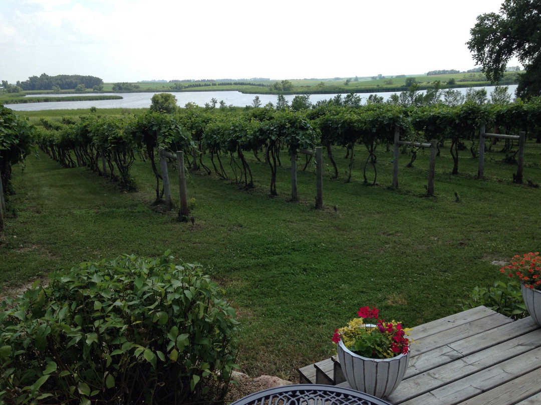 Painted Prairie Vineyard-Currie必去景点