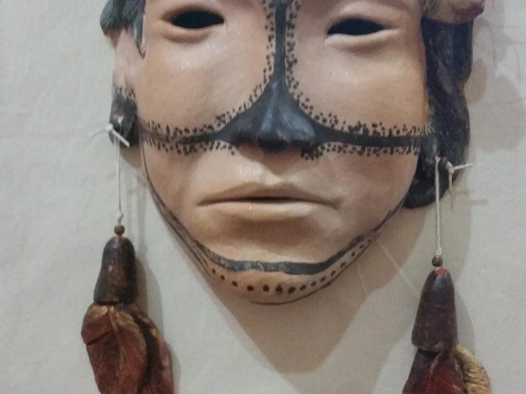 Vale do Paraiba Anthropology Museum景点图片