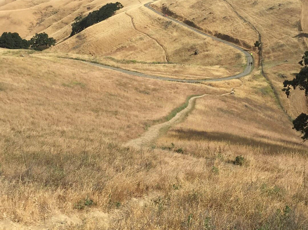 Lagoon Valley/Pena Adobe Regional Park-瓦卡维尔必去景点