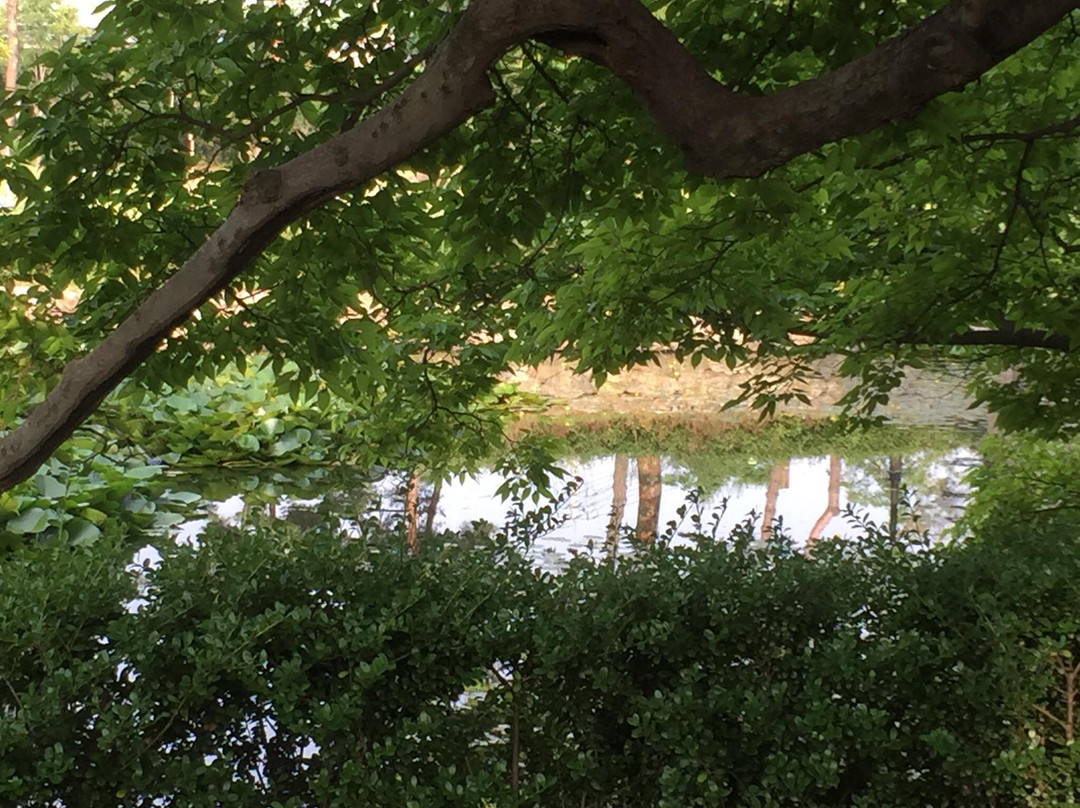 Yudang Park-光阳市必去景点