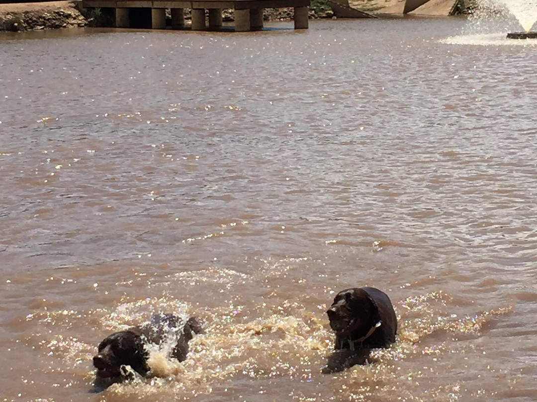 Veteran's Memorial Park-斯德伯克必去景点