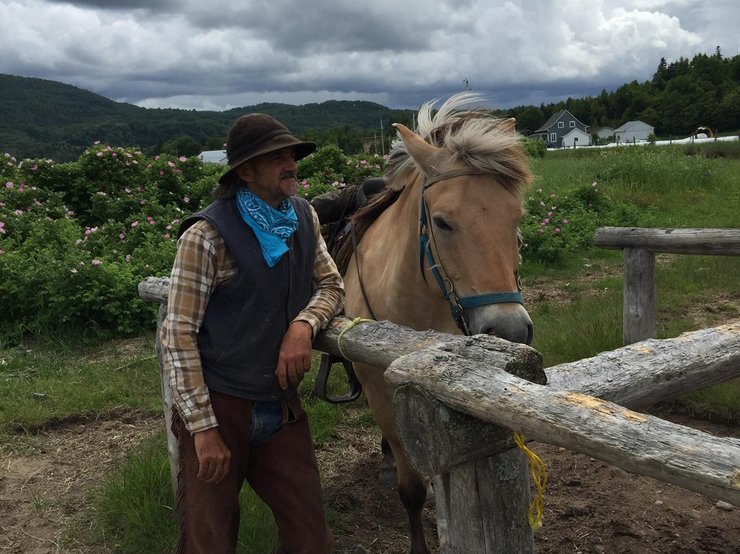 Centre Equestre des Plateaux景点图片
