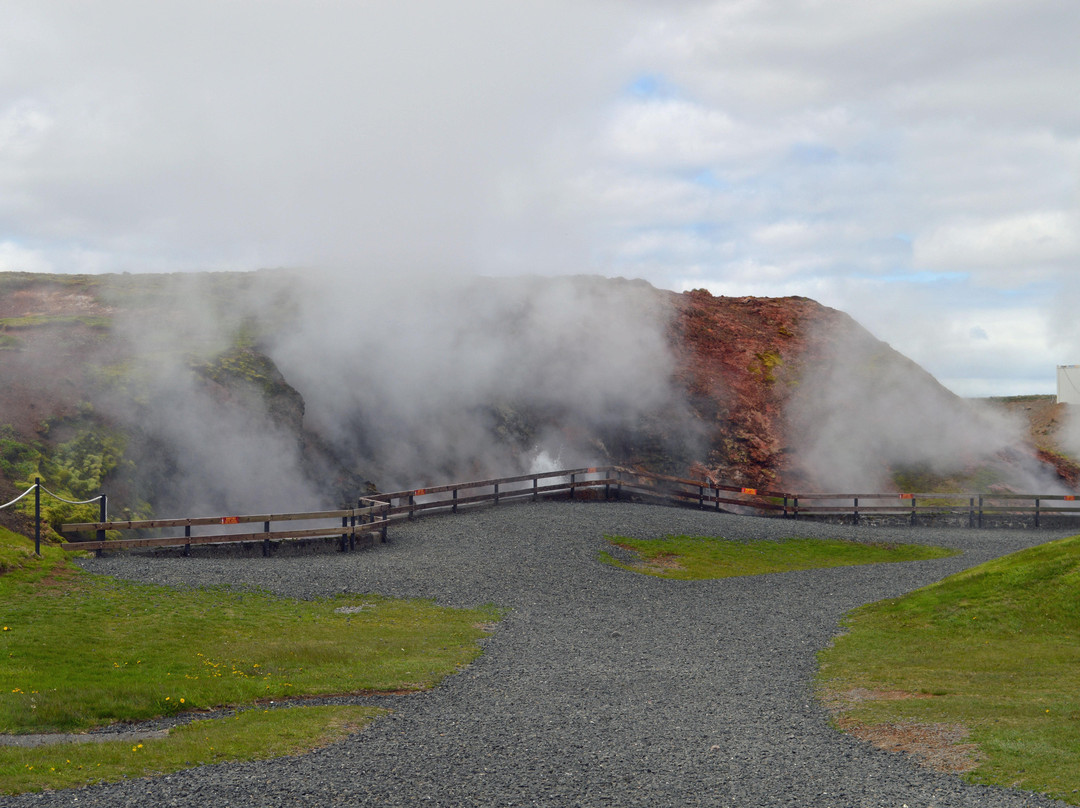 Deildartunguhver Thermal Spring景点图片