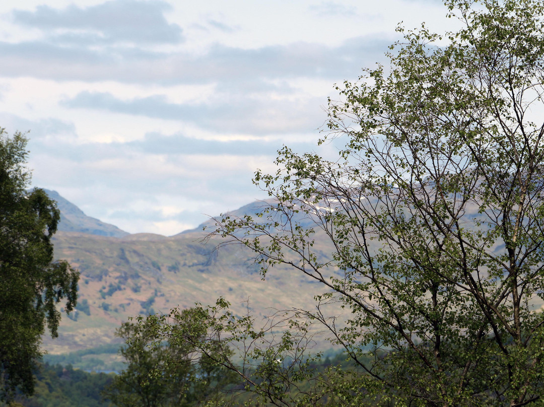 Trossachs Trail Loop-Trossachs必去景点