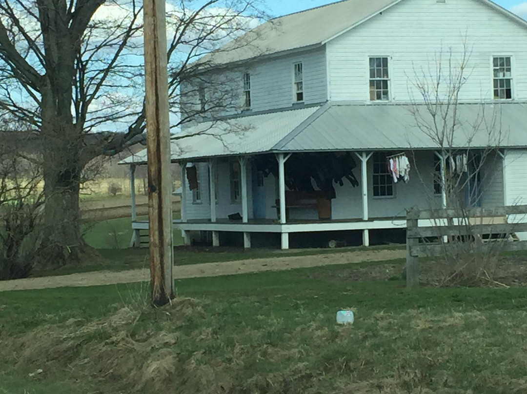 Guided Old Order Amish Tours-Randolph必去景点