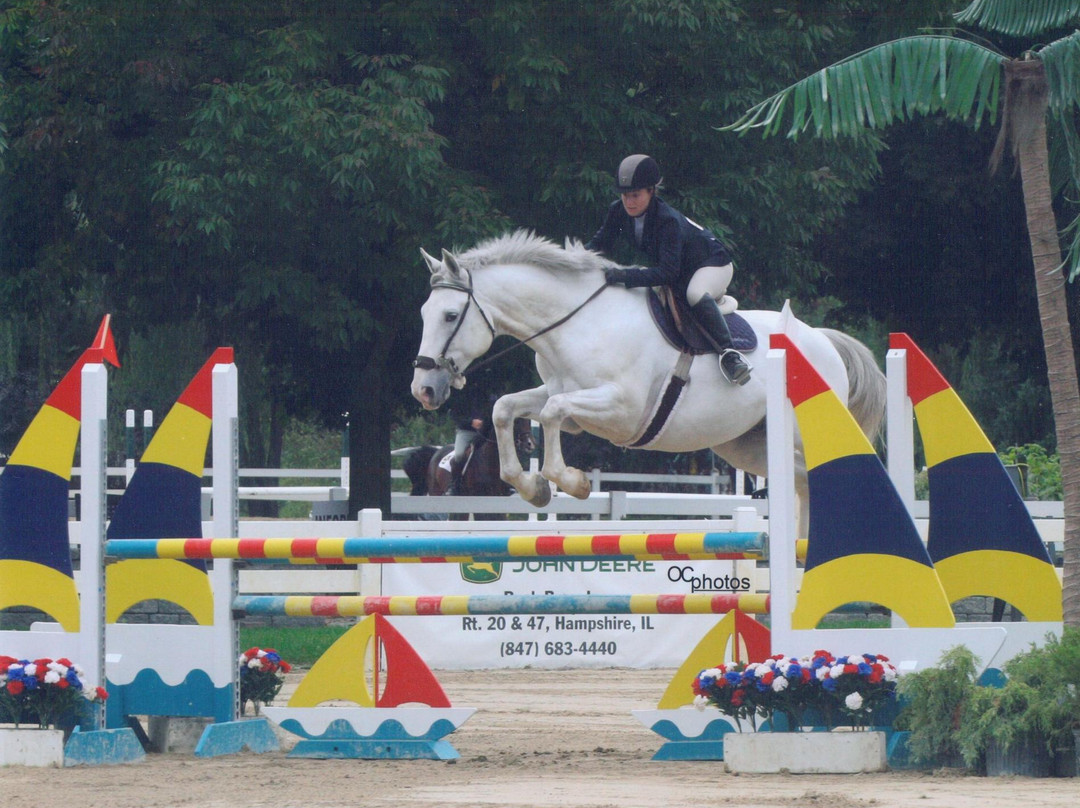 Silver Lining Equestrian景点图片