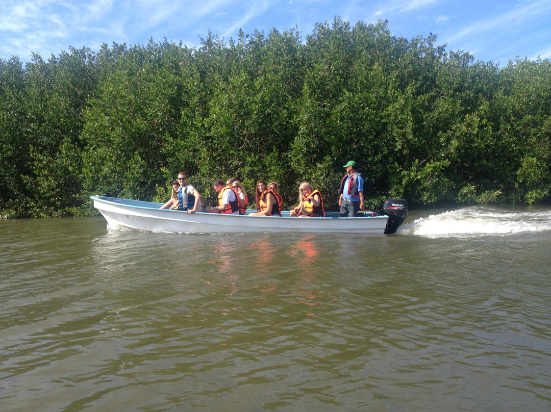 Turtle Tours Mazatlan-马萨特兰必去景点