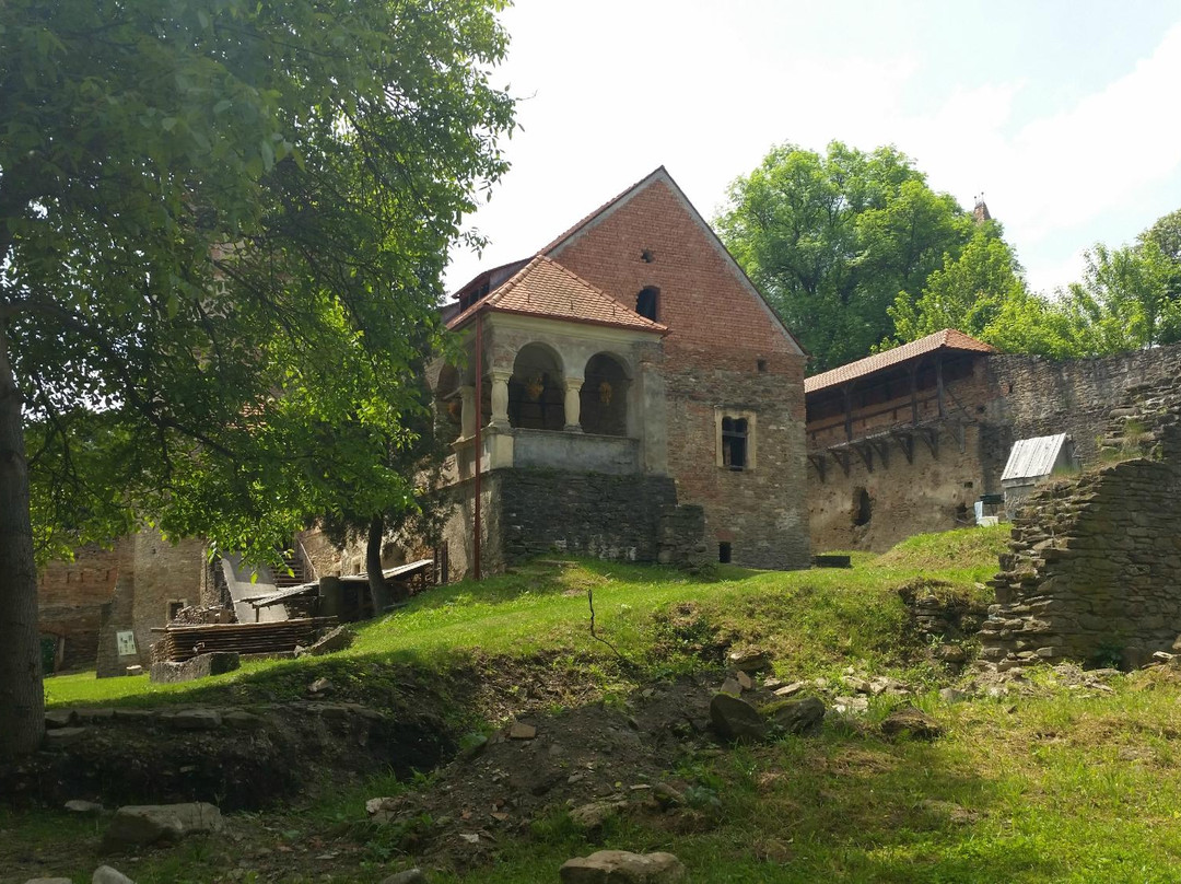 Bethlen Castle景点图片