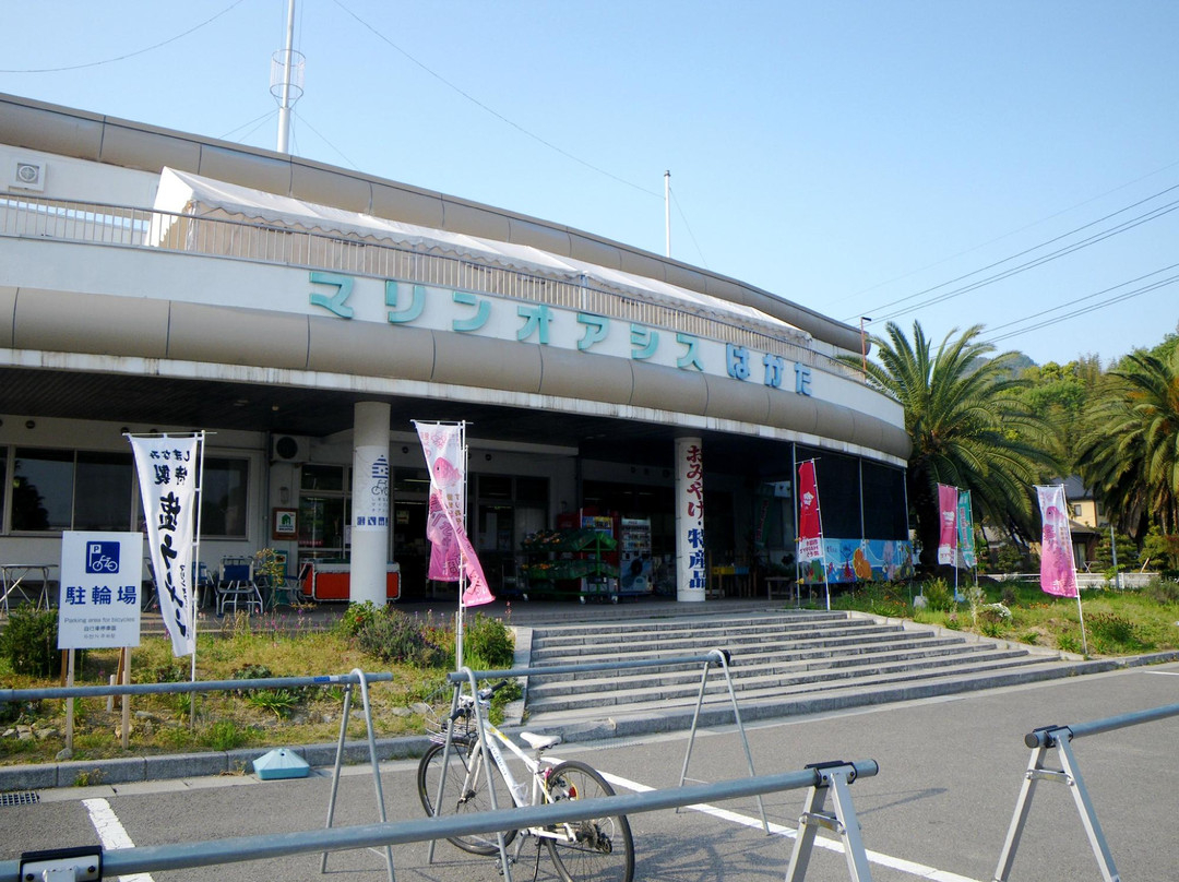 Marine Oasis Hakata-今治市必去景点