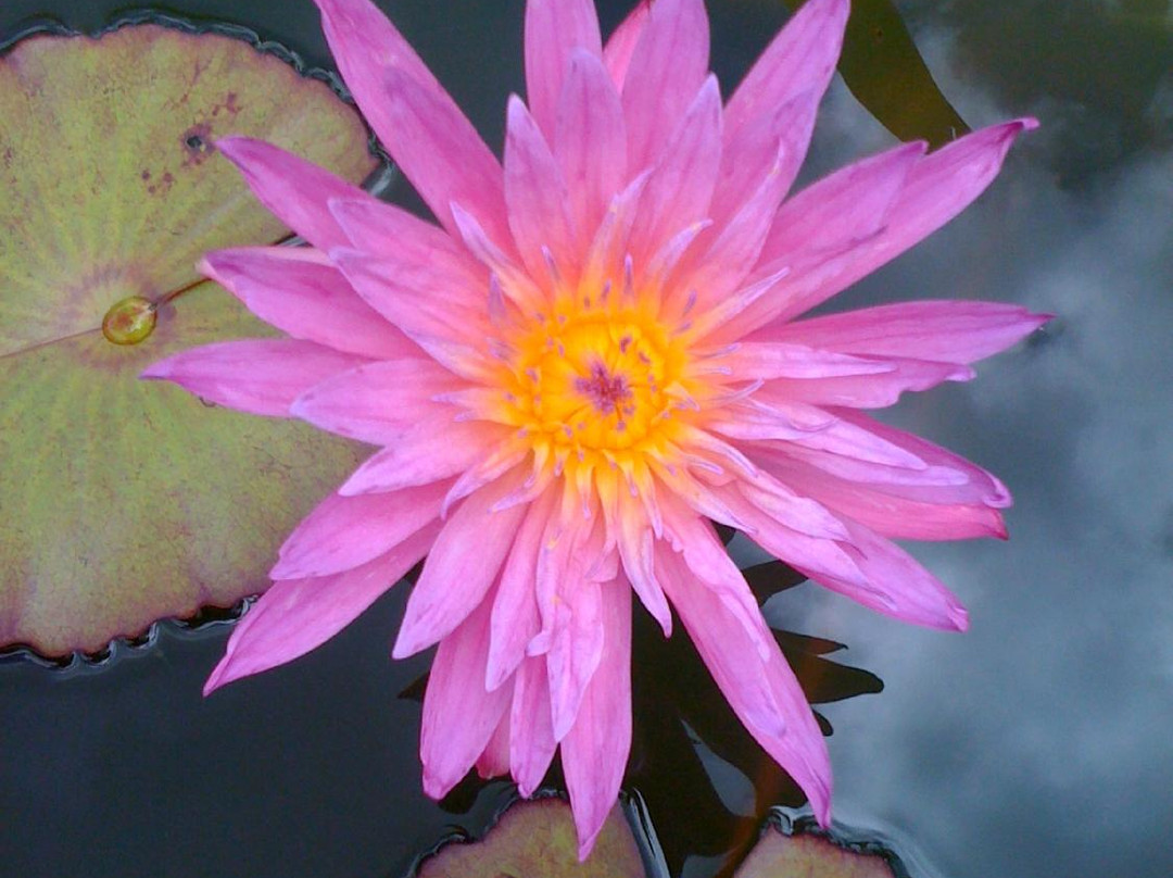 Natural Healing Massage Lihue, Kauai-利胡埃必去景点