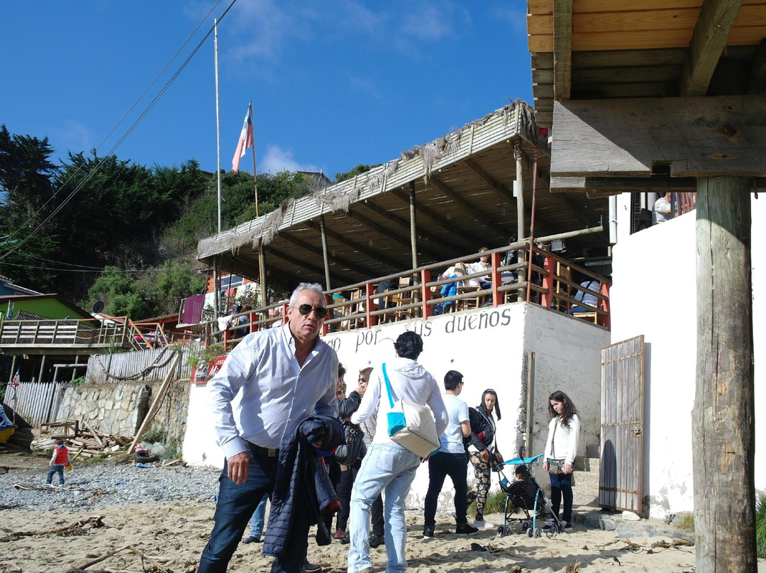 Quintay Vineyards-卡萨布兰卡必去景点