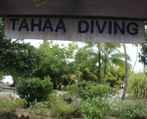 Tahaa Diving-塔哈岛必去景点