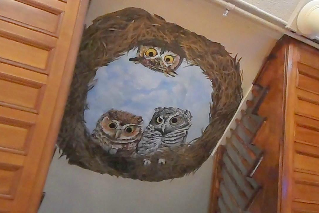 Wonderfeet Kids' Museum-Rutland必去景点