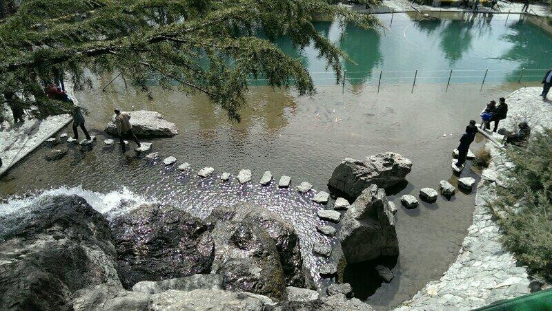 Jamshidieh Stone Garden景点图片