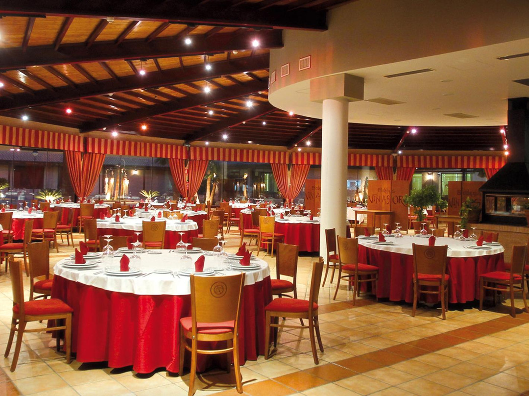 Hotel Château Viñasoro