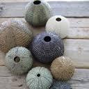 Spinspot Ceramics & Pottery-Argassi必去景点