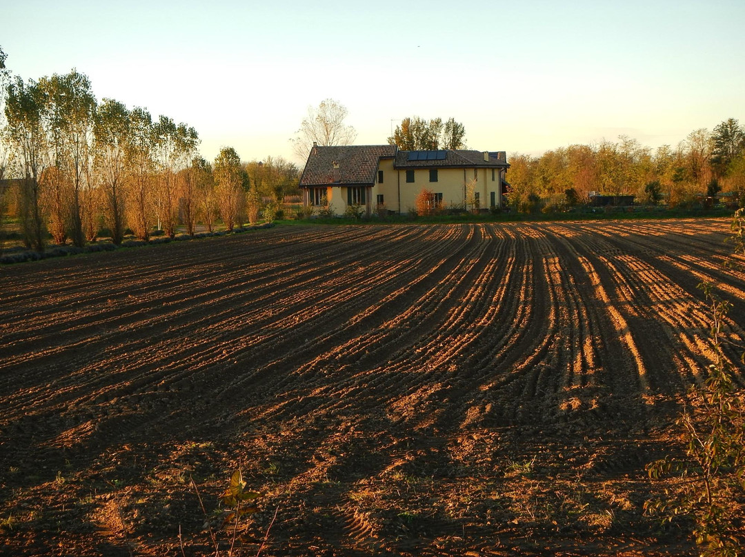 Cascina Lema
