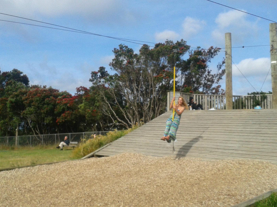 Central Park-惠灵顿必去景点