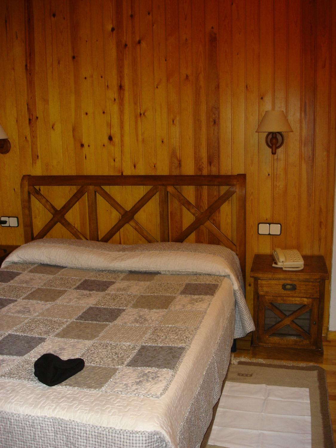 Hotel Els Puis-客卧