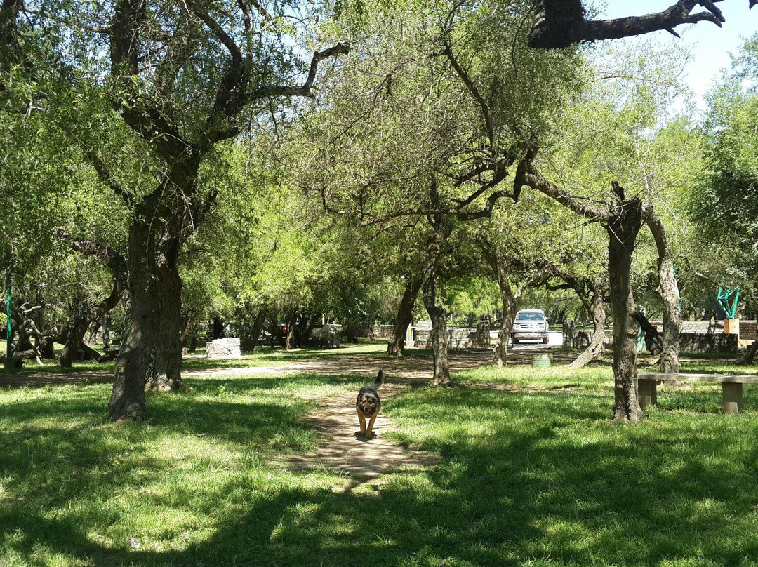 Francisco Tau Park景点图片