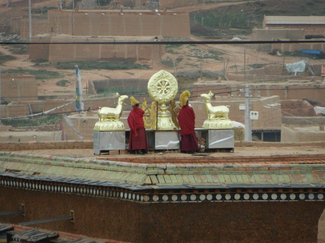 八角城遗址景点图片