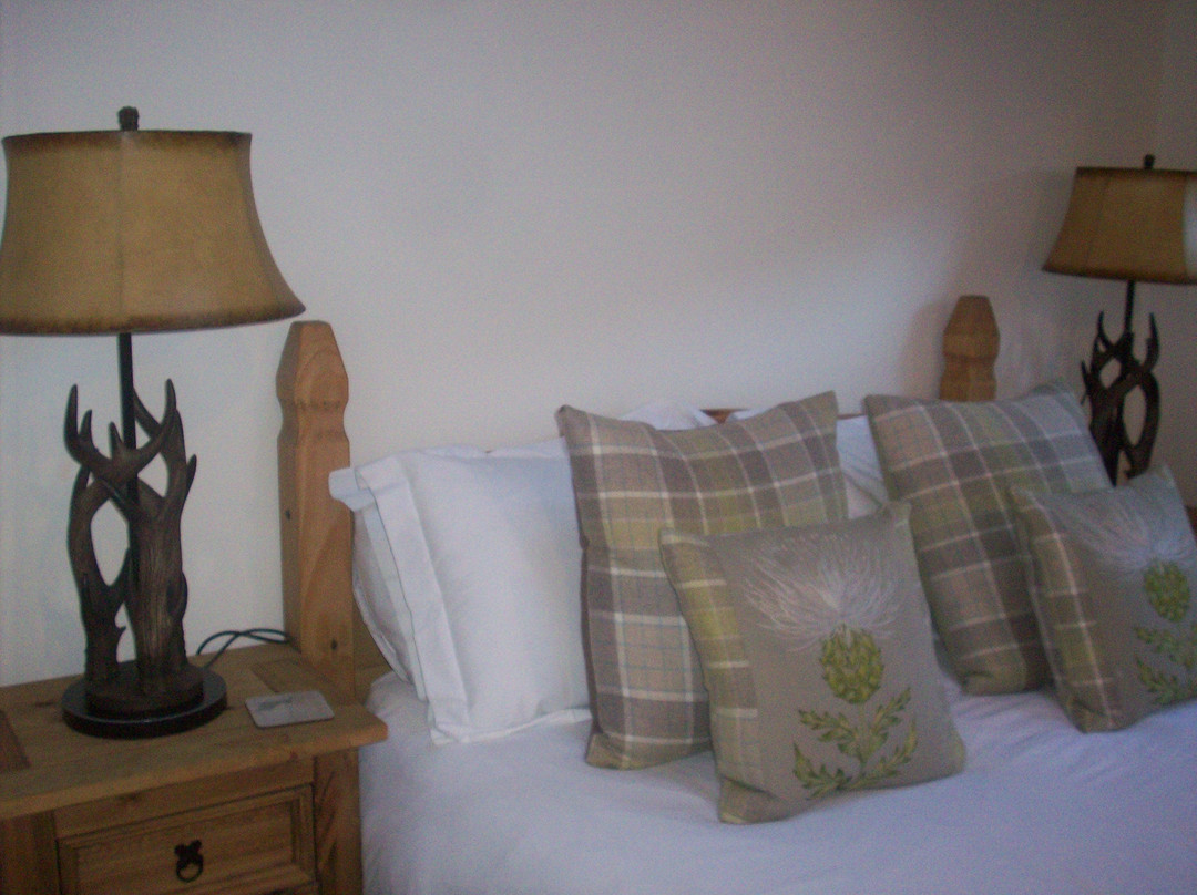 Castleview Bed and Breakfast主图