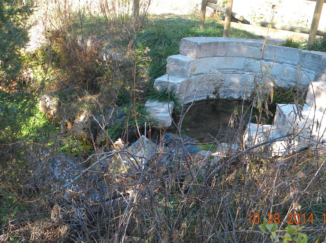 J.H. Keith Park and Whitney Preserve at Cascade Springs-温泉城必去景点