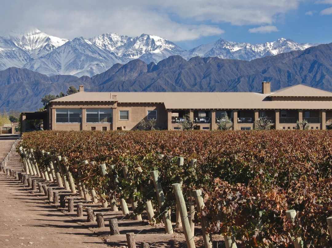 Bodega Vistalba景点图片
