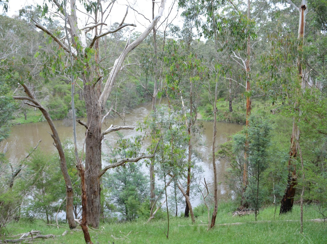 渥伦泰德省立公园-墨尔本必去景点