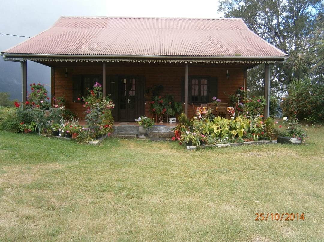 Maillot Arlette主图