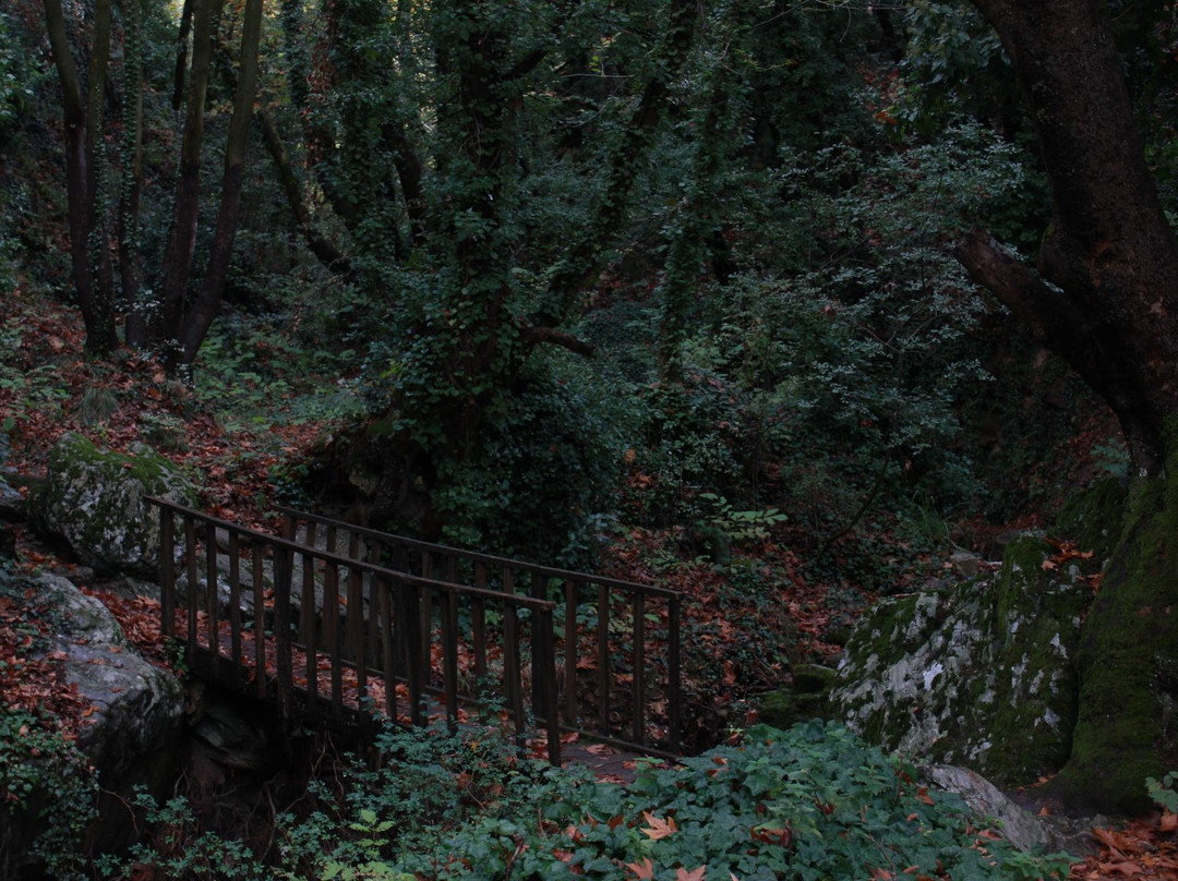 Spring of Manas-沃洛斯必去景点