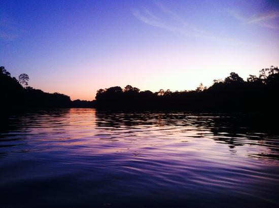 Tapiche Jungle Reserve景点图片