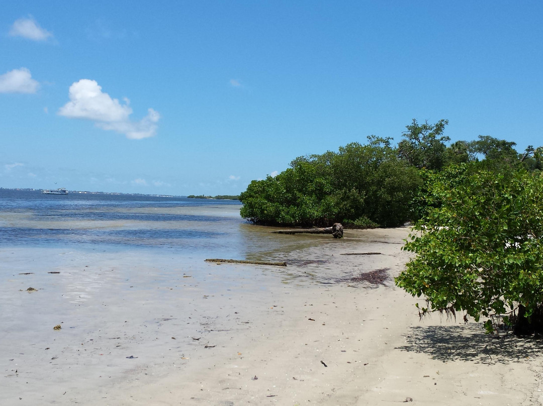 Emerson Point Preserve-Palmetto必去景点