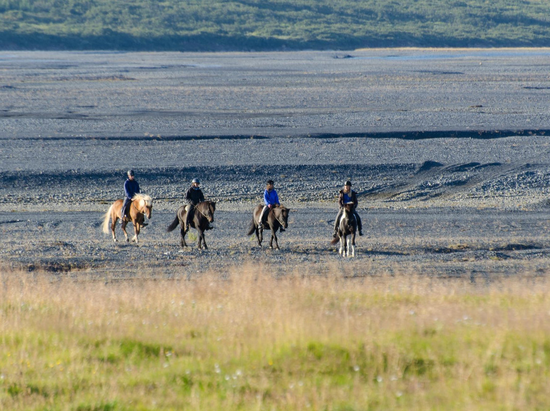 Stori-Bakki Riding Tours-埃伊尔斯塔济必去景点