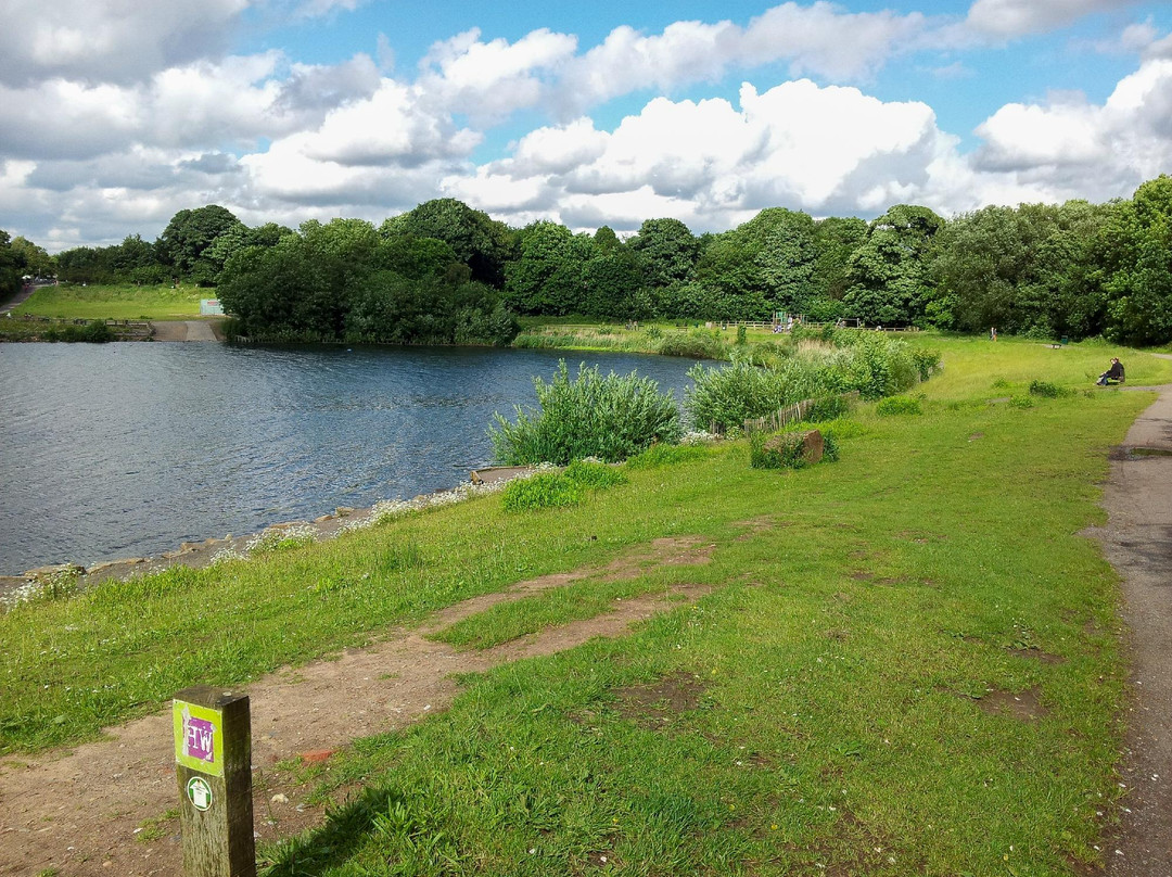 Wythenshawe旅游攻略图片