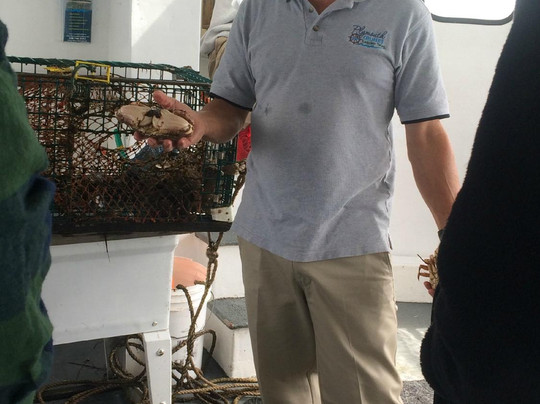 Plymouth Cruises aboard Lobster Tales-普利茅斯必去景点