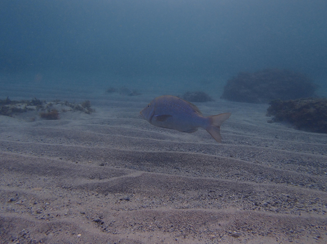 Sawajiri Beach-神津岛村必去景点