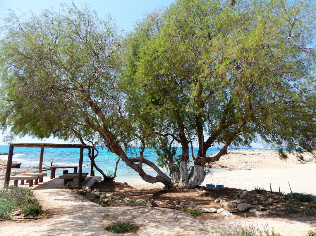 Ammos Kambouri Beach-阿依纳帕必去景点