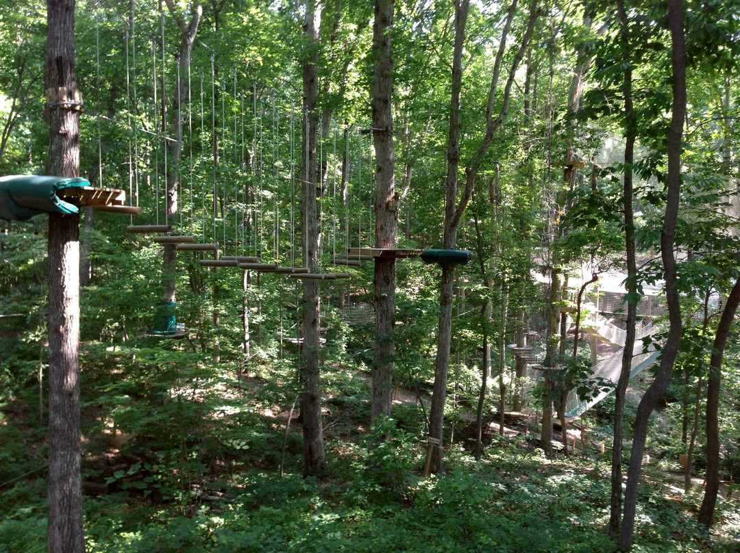 Treetop Quest Gwinnett-比福德必去景点